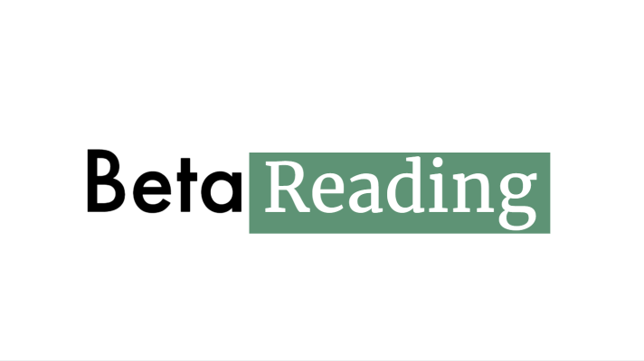 Why Hire a Professional Beta Reader